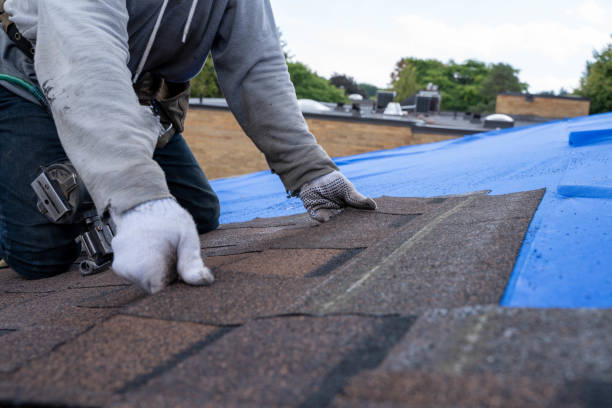 Best Roof Maintenance Services  in Goodman, MS
